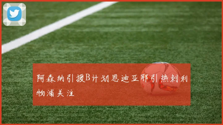 阿森纳引援B计划恩迪亚耶引热刺利物浦关注